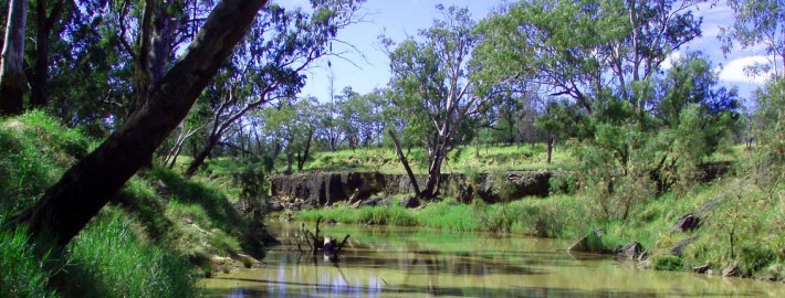 creek aquatic ecological environment