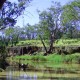 creek aquatic ecological environment