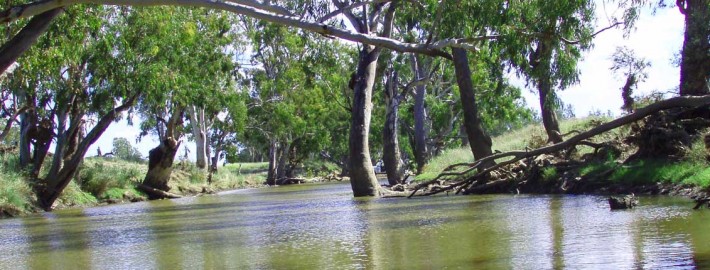 wide aquatic ecological environment