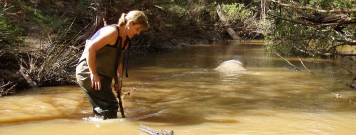 river aquatic ecological environment